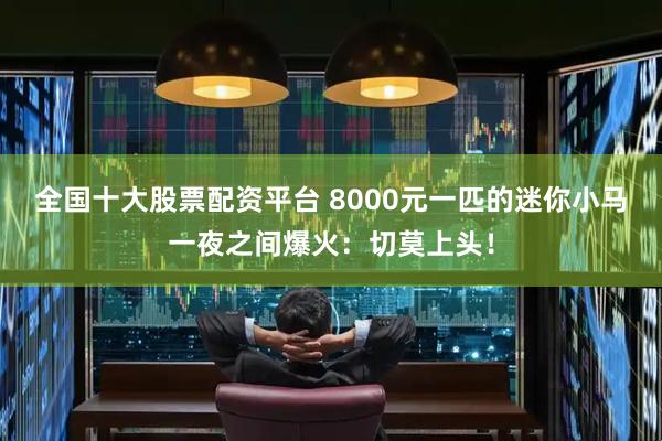 全国十大股票配资平台 8000元一匹的迷你小马一夜之间爆火：切莫上头！