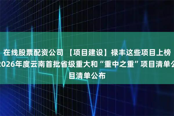 在线股票配资公司 【项目建设】禄丰这些项目上榜！2026年度云南首批省级重大和“重中之重”项目清单公布
